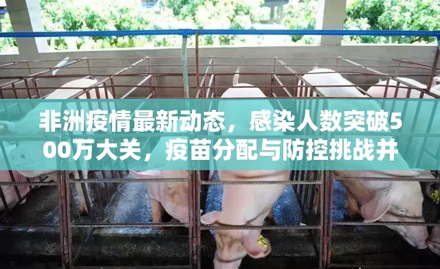 非洲疫情最新动态，感染人数突破500万大关，疫苗分配与防控挑战并存