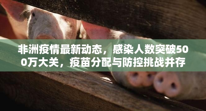 非洲疫情最新动态，感染人数突破500万大关，疫苗分配与防控挑战并存