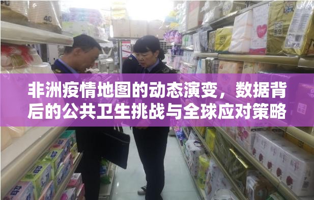 非洲疫情地图的动态演变，数据背后的公共卫生挑战与全球应对策略