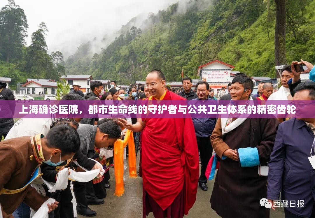 上海确诊医院，都市生命线的守护者与公共卫生体系的精密齿轮