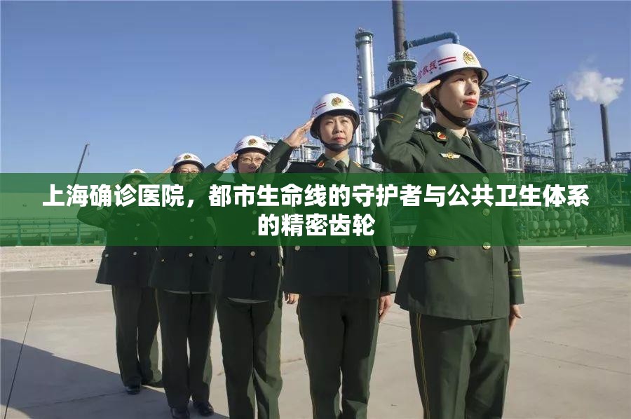 上海确诊医院，都市生命线的守护者与公共卫生体系的精密齿轮