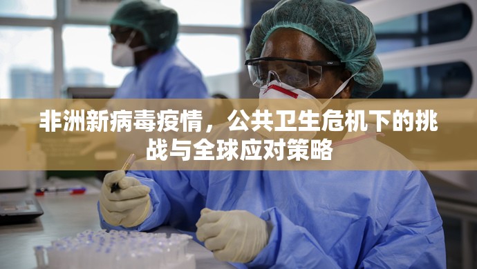 非洲新病毒疫情,公共卫生危机下的挑战与全球应对策略 非洲新病毒疫情,公共卫生危机下的挑战与全球应对策略