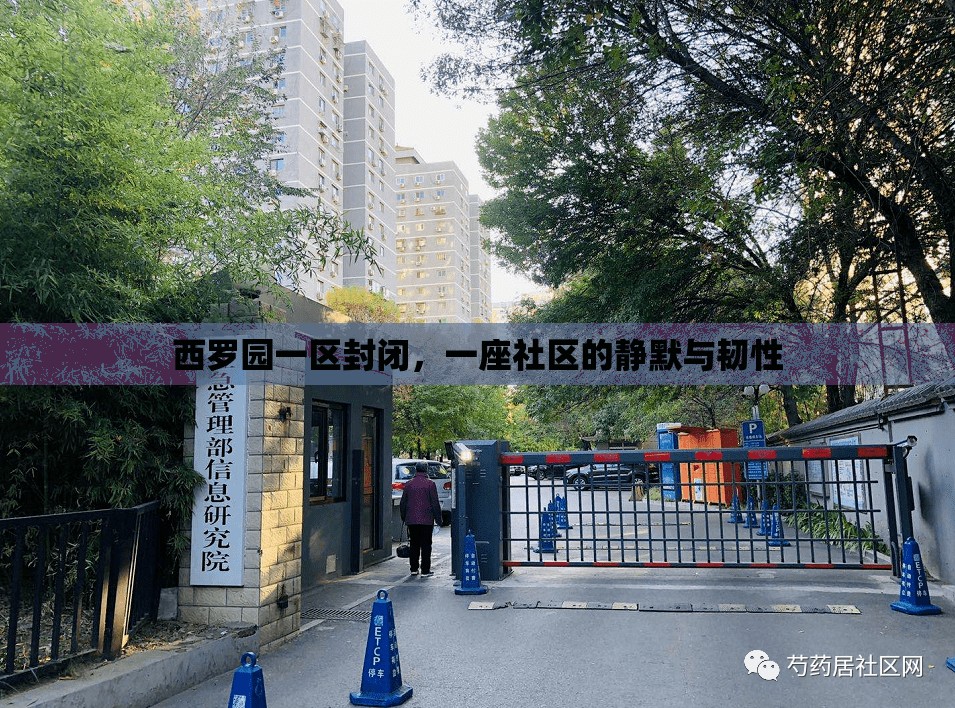 西罗园一区封闭，一座社区的静默与韧性
