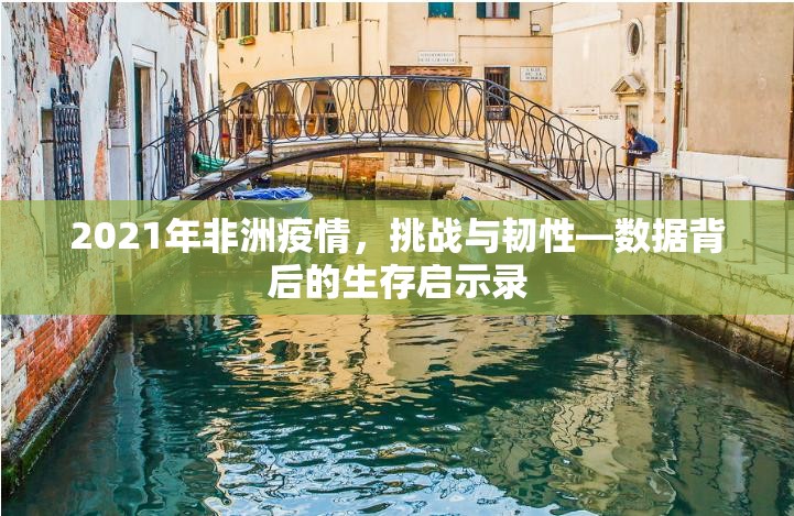 2021年非洲疫情，挑战与韧性—数据背后的生存启示录