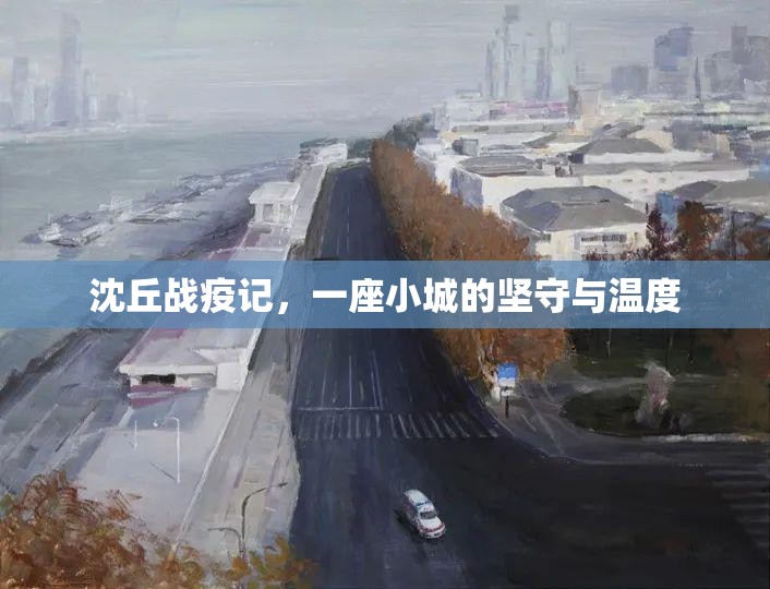 沈丘战疫记，一座小城的坚守与温度