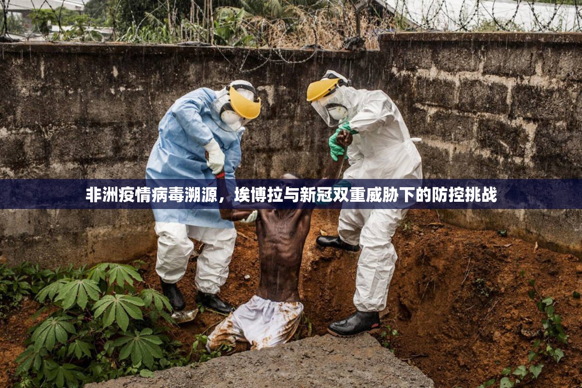 非洲疫情病毒溯源，埃博拉与新冠双重威胁下的防控挑战
