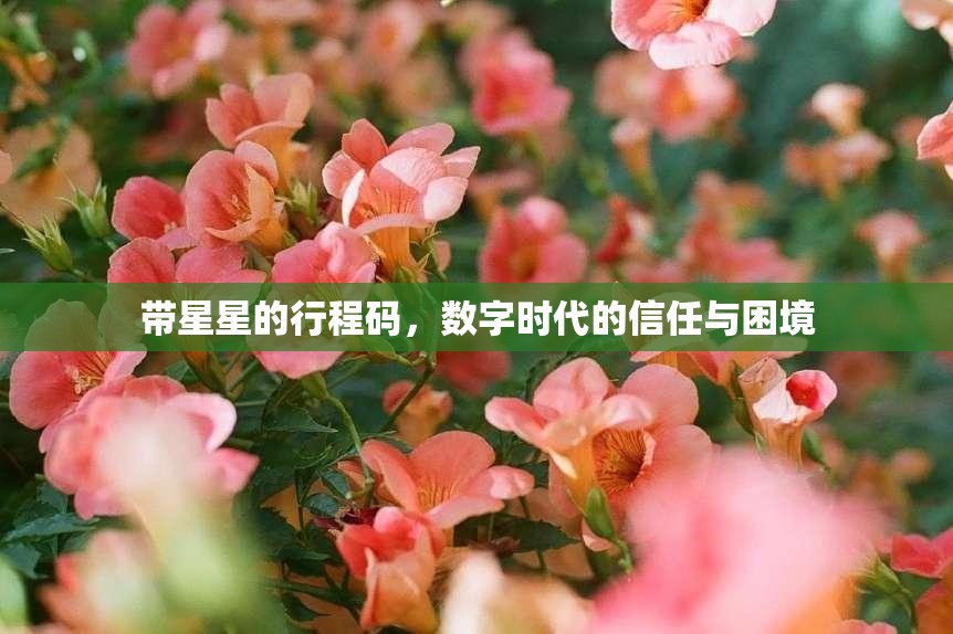 带星星的行程码,数字时代的信任与困境 带星星的行程码,数字时代的信任与困境