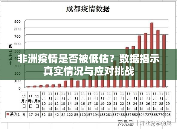 非洲疫情是否被低估？数据揭示真实情况与应对挑战