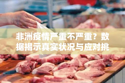 非洲疫情严重不严重？数据揭示真实状况与应对挑战