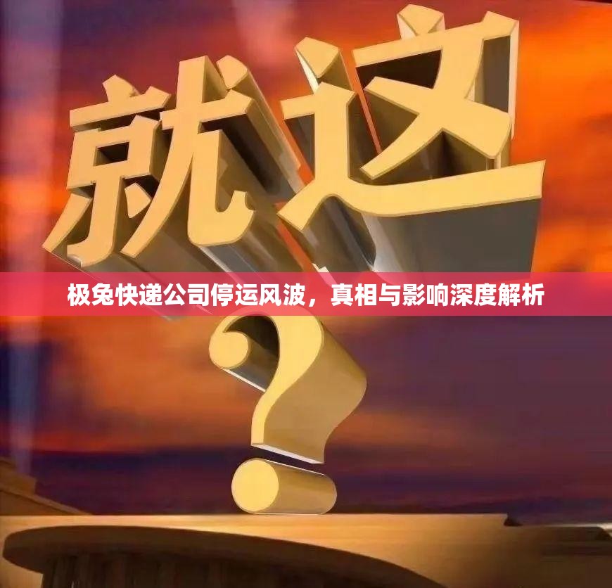 极兔快递公司停运风波，真相与影响深度解析