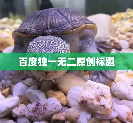 百度独一无二原创标题