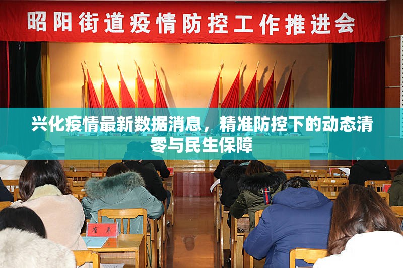 兴化疫情最新数据消息，精准防控下的动态清零与民生保障