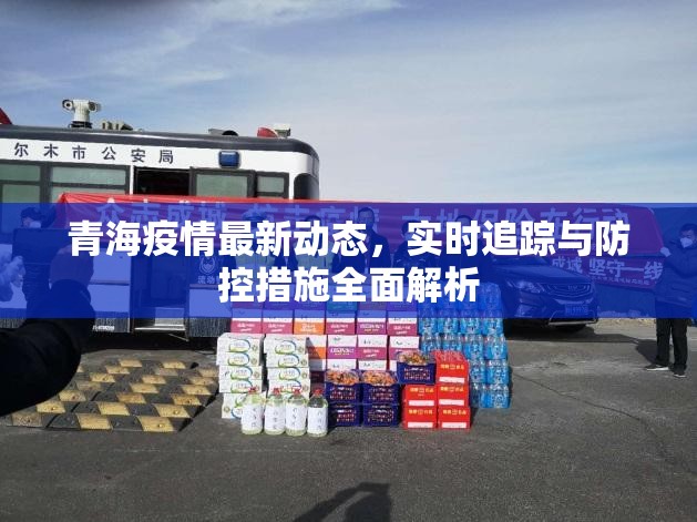 青海疫情最新动态，实时追踪与防控措施全面解析