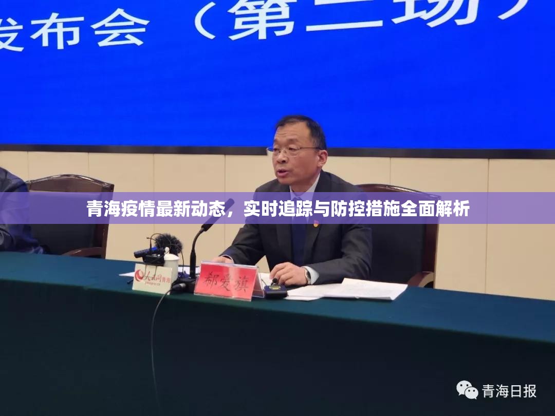 青海疫情最新动态，实时追踪与防控措施全面解析