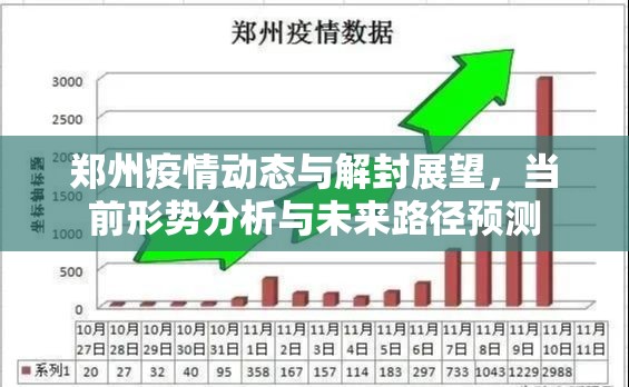 郑州疫情动态与解封展望，当前形势分析与未来路径预测