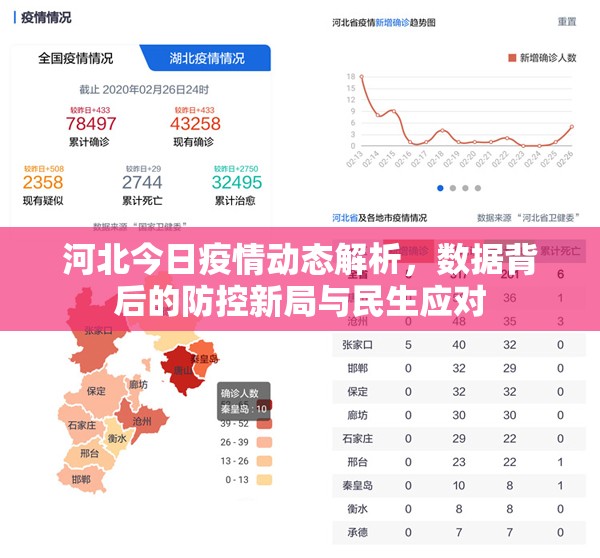 河北今日疫情动态解析,数据背后的防控新局与民生应对 河北今日疫情动态解析,数据背后的防控新局与民生应对