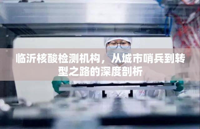 临沂核酸检测机构，从城市哨兵到转型之路的深度剖析