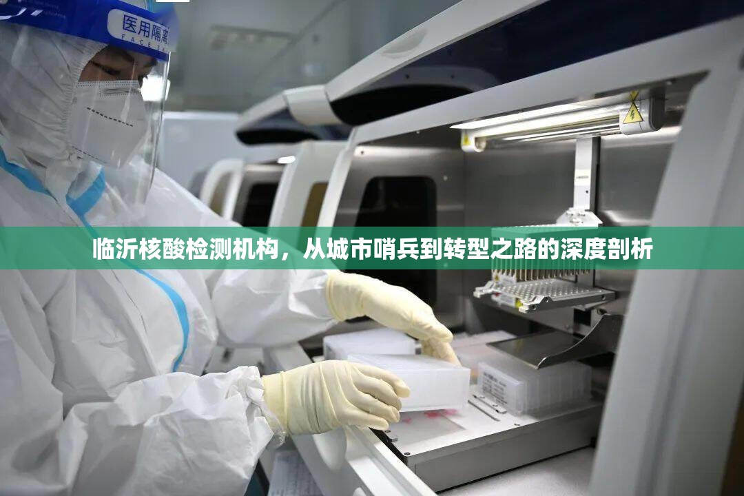 临沂核酸检测机构，从城市哨兵到转型之路的深度剖析