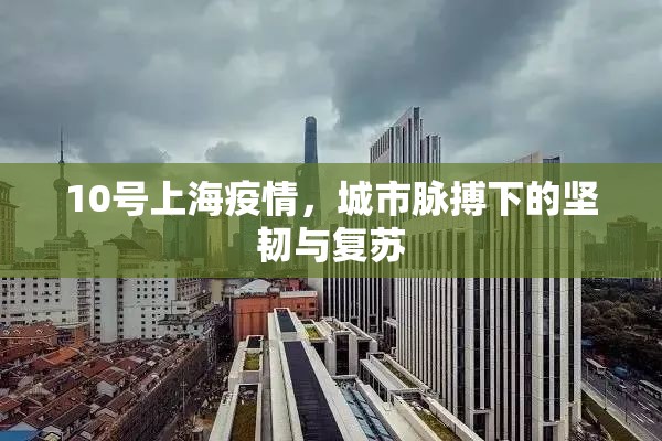 10号上海疫情，城市脉搏下的坚韧与复苏