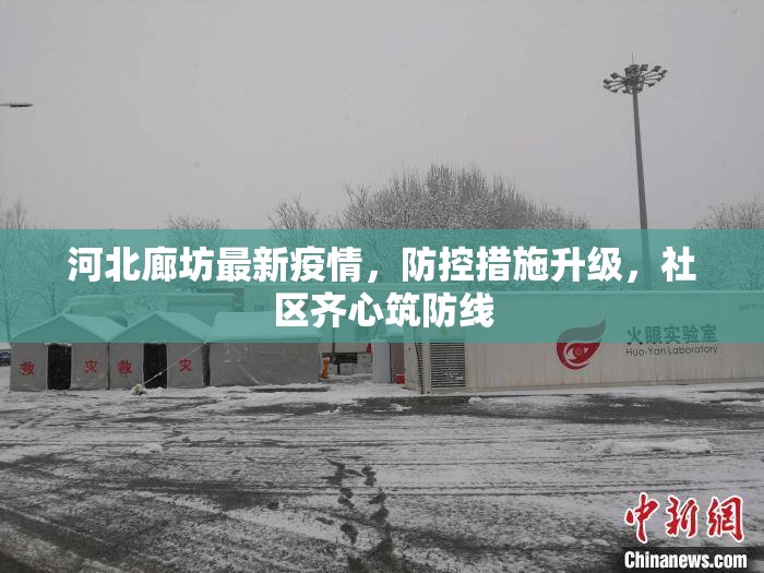 河北廊坊最新疫情,防控措施升级,社区齐心筑防线 河北廊坊最新疫情,防控措施升级,社区齐心筑防线