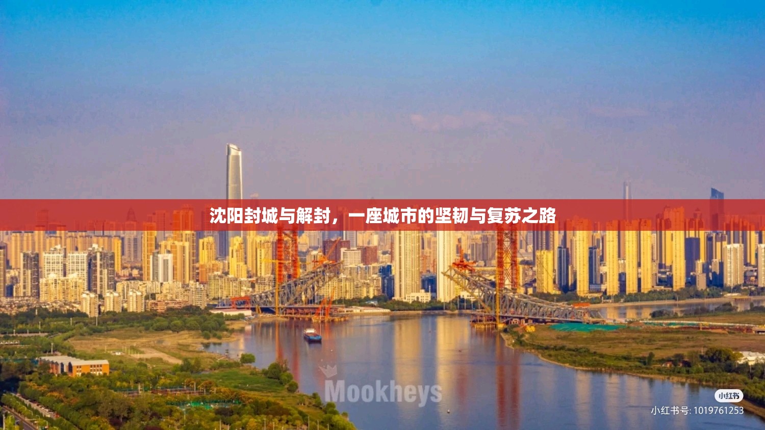 沈阳封城与解封,一座城市的坚韧与复苏之路 沈阳封城与解封,一座城市的坚韧与复苏之路
