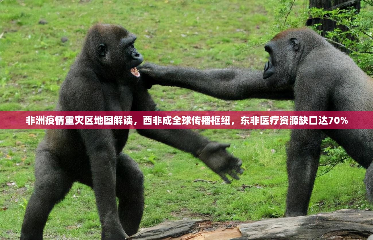 非洲疫情重灾区地图解读,西非成全球传播枢纽,东非医疗资源缺口达70% 非洲疫情重灾区地图解读,西非成全球传播枢纽,东非医疗资源缺口达70%