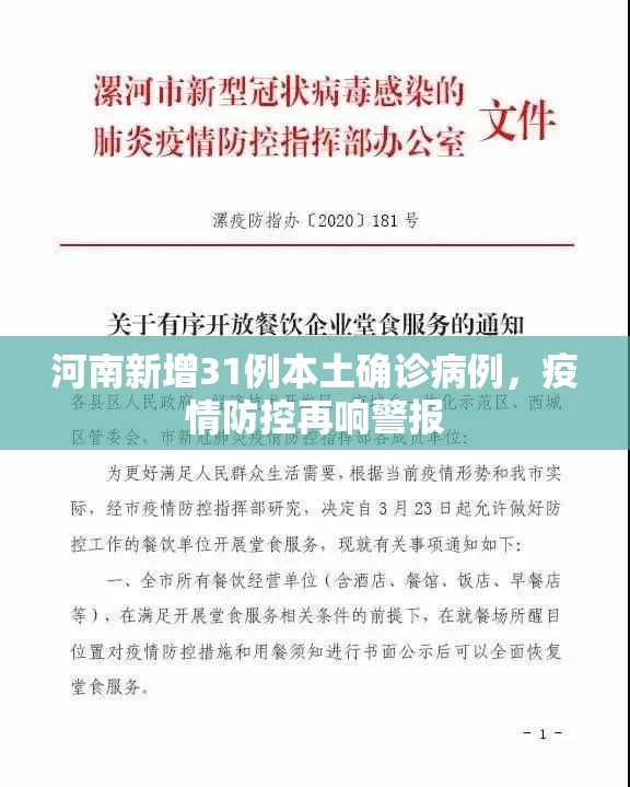 河南新增31例本土确诊病例，疫情防控再响警报