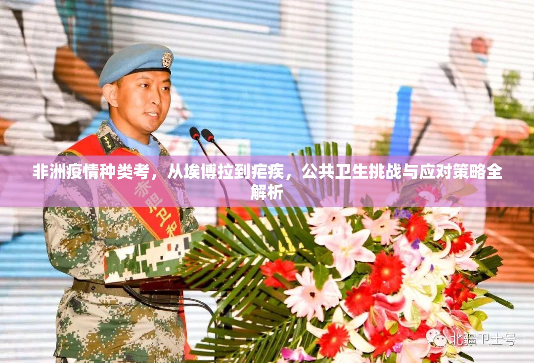 非洲疫情种类考,从埃博拉到疟疾,公共卫生挑战与应对策略全解析 非洲疫情种类考,从埃博拉到疟疾,公共卫生挑战与应对策略全解析