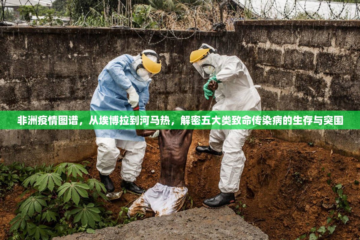 非洲疫情图谱，从埃博拉到河马热，解密五大类致命传染病的生存与突围