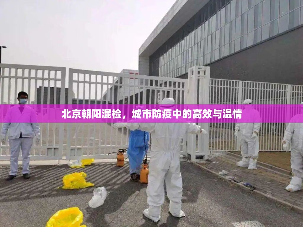 北京朝阳混检，城市防疫中的高效与温情