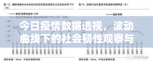 今日疫情数据透视，波动曲线下的社会韧性观察与常态化防控新思