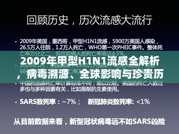 2009年甲型H1N1流感全解析,病毒溯源、全球影响与珍贵历史图片解读 2009年甲型H1N1流感全解析,病毒溯源、全球影响与珍贵历史图片解读