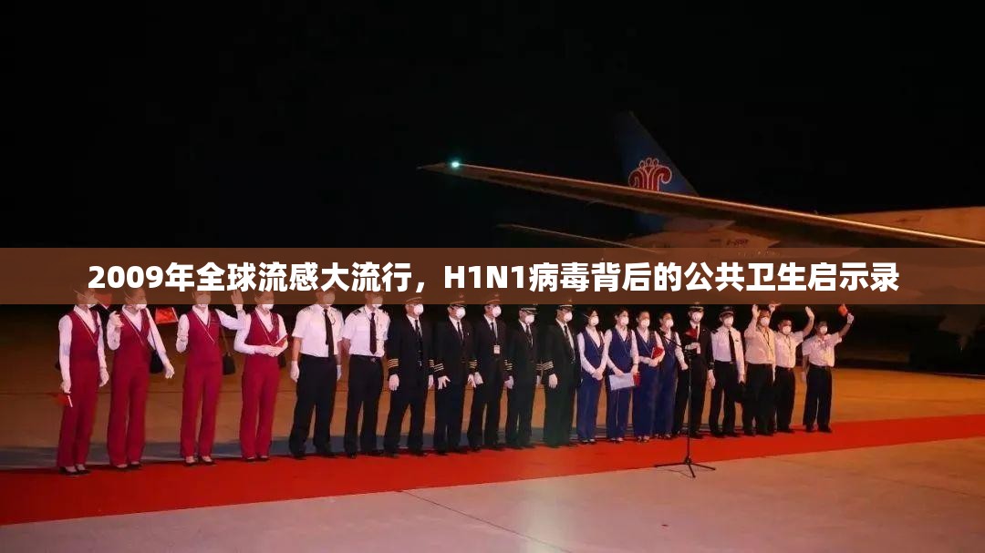 2009年全球流感大流行，H1N1病毒背后的公共卫生启示录