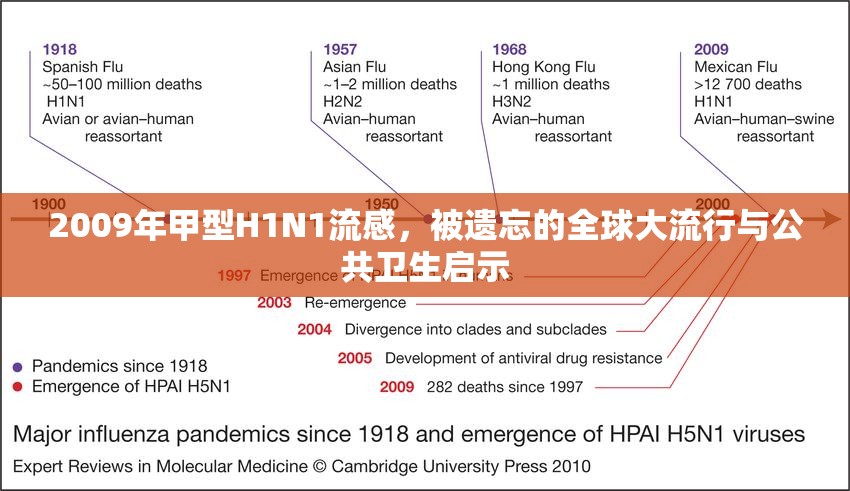 2009年甲型H1N1流感，被遗忘的全球大流行与公共卫生启示