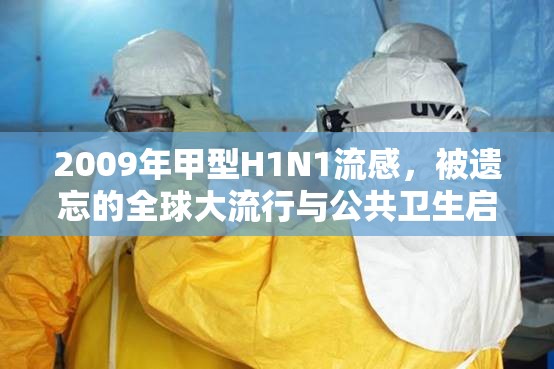 2009年甲型H1N1流感，被遗忘的全球大流行与公共卫生启示