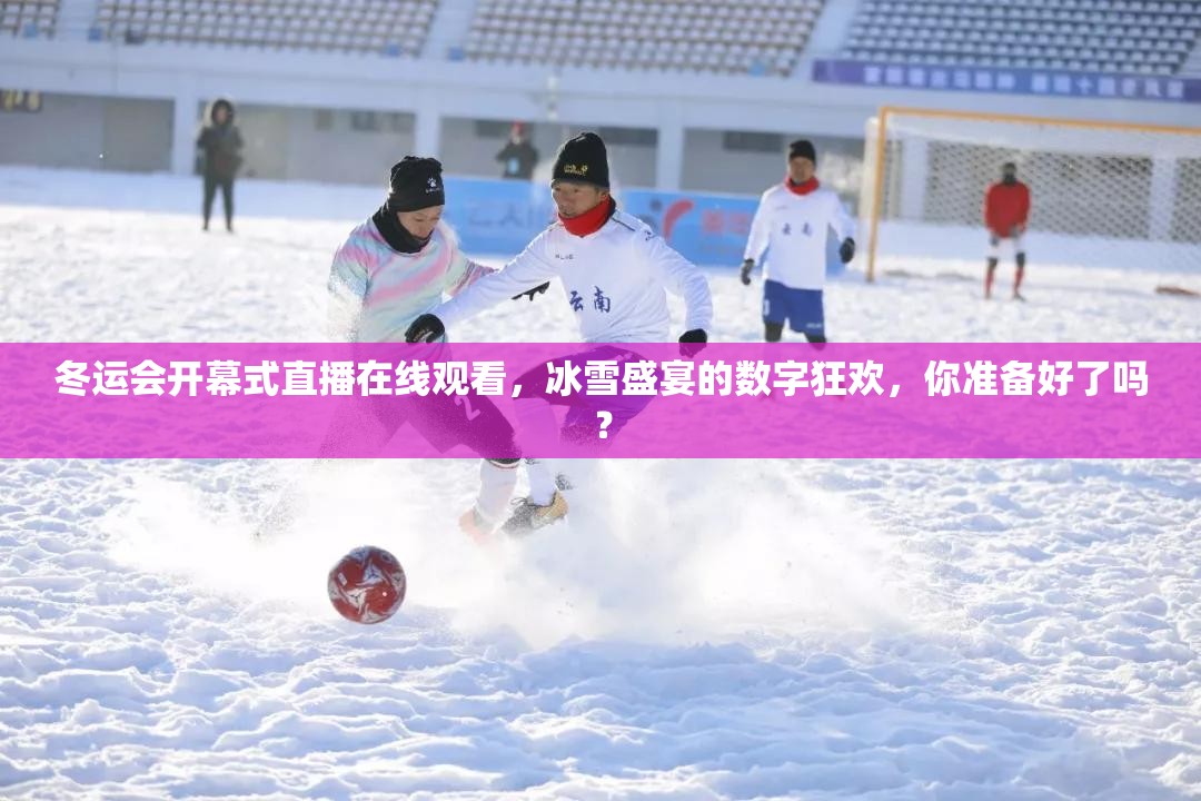 冬运会开幕式直播在线观看，冰雪盛宴的数字狂欢，你准备好了吗？
