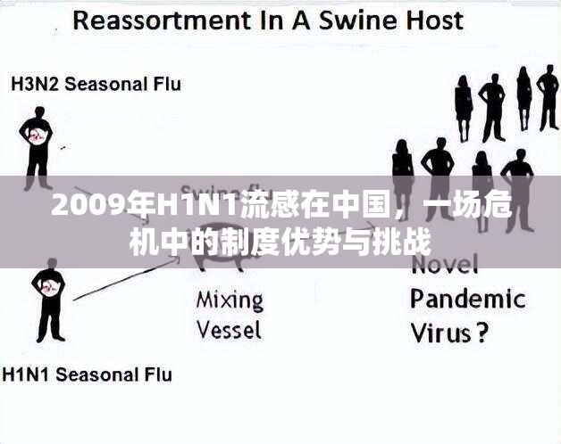 2009年H1N1流感在中国，一场危机中的制度优势与挑战