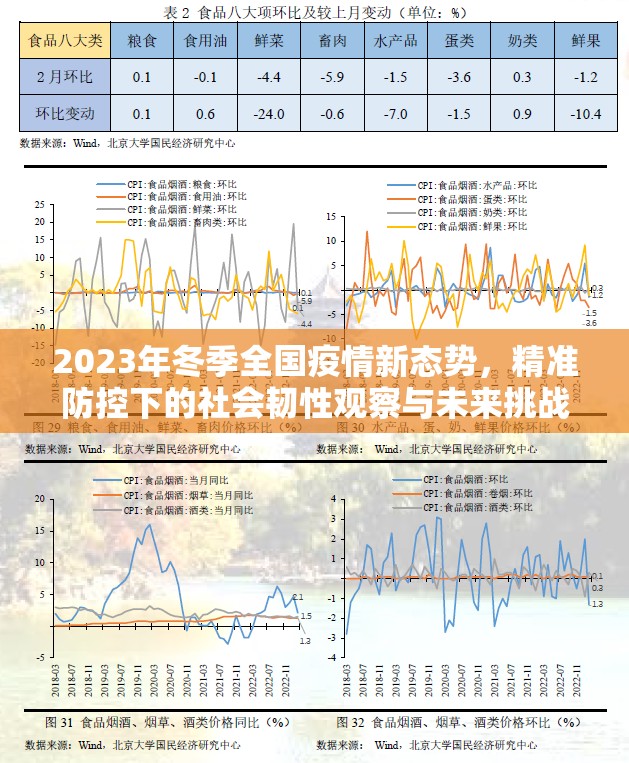 2023年冬季全国疫情新态势,精准防控下的社会韧性观察与未来挑战 2023年冬季全国疫情新态势,精准防控下的社会韧性观察与未来挑战