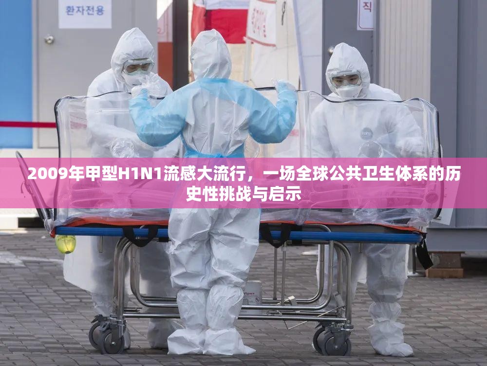 2009年甲型H1N1流感大流行,一场全球公共卫生体系的历史性挑战与启示 2009年甲型H1N1流感大流行,一场全球公共卫生体系的历史性挑战与启示