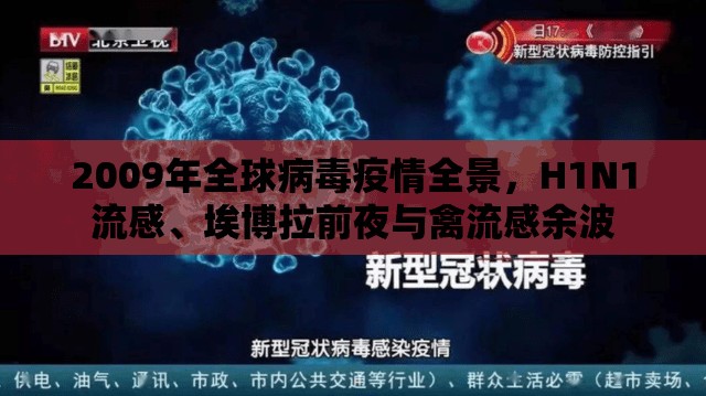 2009年全球病毒疫情全景，H1N1流感、埃博拉前夜与禽流感余波