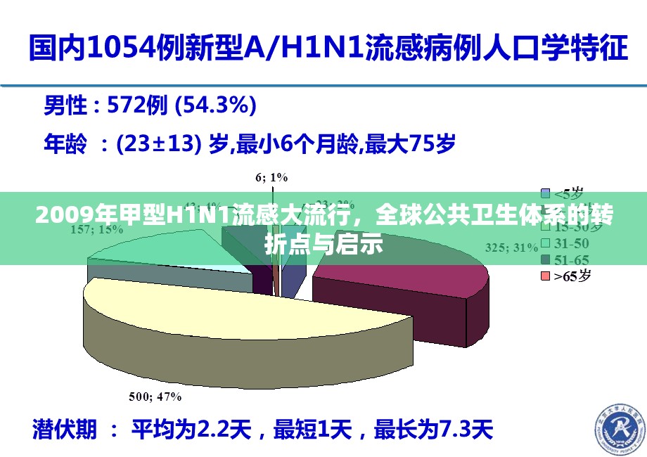 2009年甲型H1N1流感大流行，全球公共卫生体系的转折点与启示