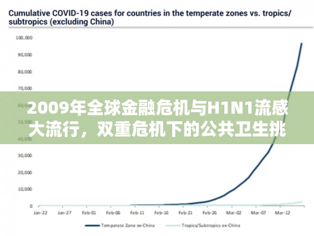 2009年全球金融危机与H1N1流感大流行，双重危机下的公共卫生挑战与反思
