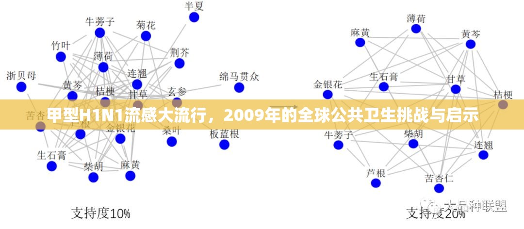 甲型H1N1流感大流行，2009年的全球公共卫生挑战与启示