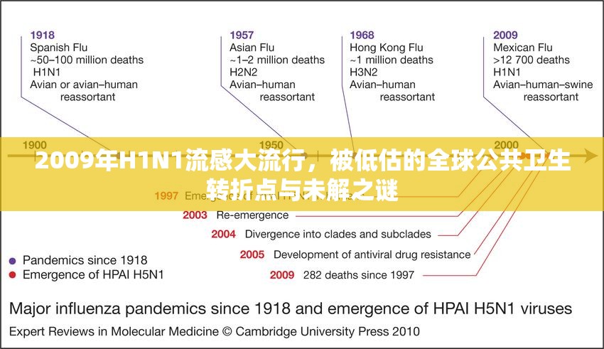 2009年H1N1流感大流行,被低估的全球公共卫生转折点与未解之谜 2009年H1N1流感大流行,被低估的全球公共卫生转折点与未解之谜
