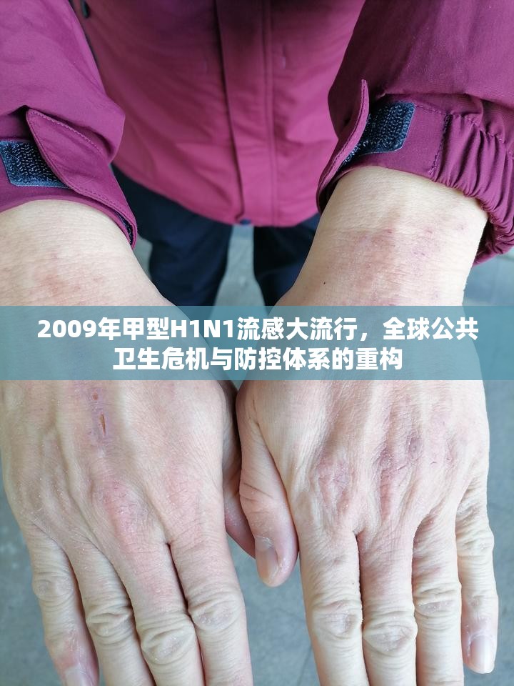 2009年甲型H1N1流感大流行，全球公共卫生危机与防控体系的重构