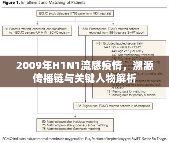 2009年H1N1流感疫情，溯源传播链与关键人物解析