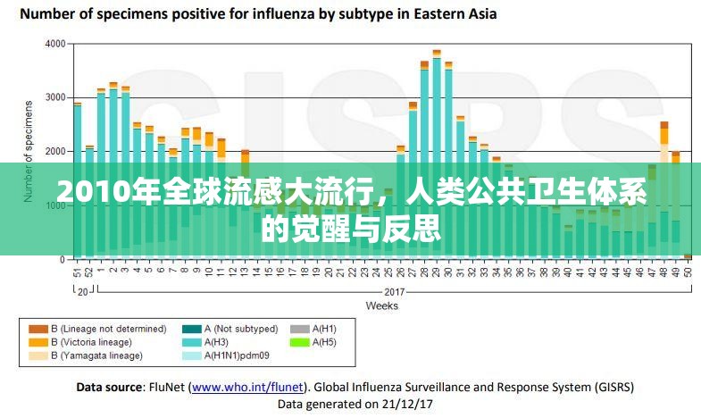 2010年全球流感大流行，人类公共卫生体系的觉醒与反思