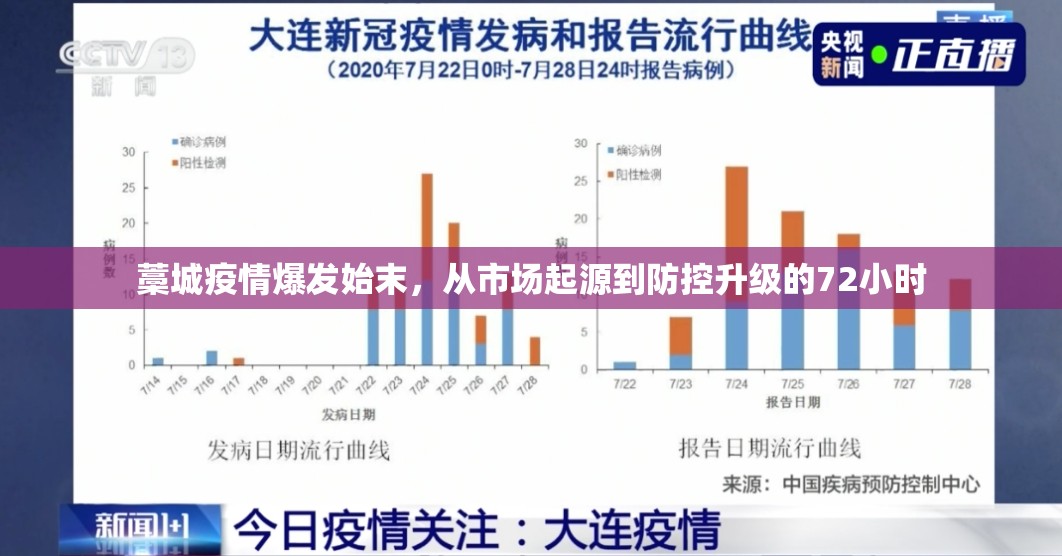藁城疫情爆发始末，从市场起源到防控升级的72小时