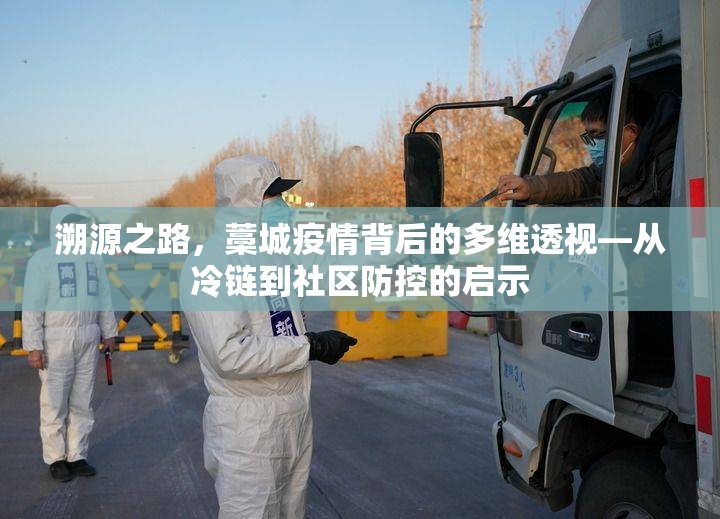 溯源之路，藁城疫情背后的多维透视—从冷链到社区防控的启示