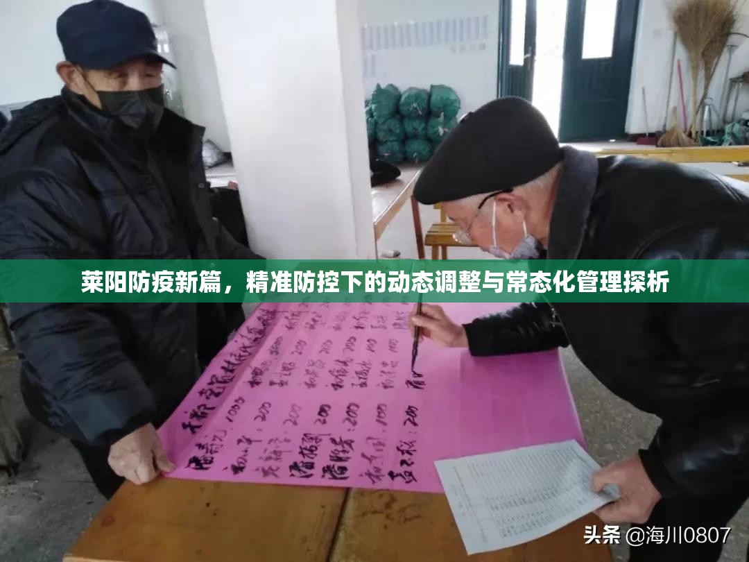 莱阳防疫新篇，精准防控下的动态调整与常态化管理探析